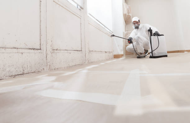 24/7 Emergency Mold Remediation experts in Union City, NJ